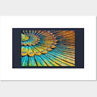 Full frame peacock feather wreath, Hinduist art.H Posters and Art